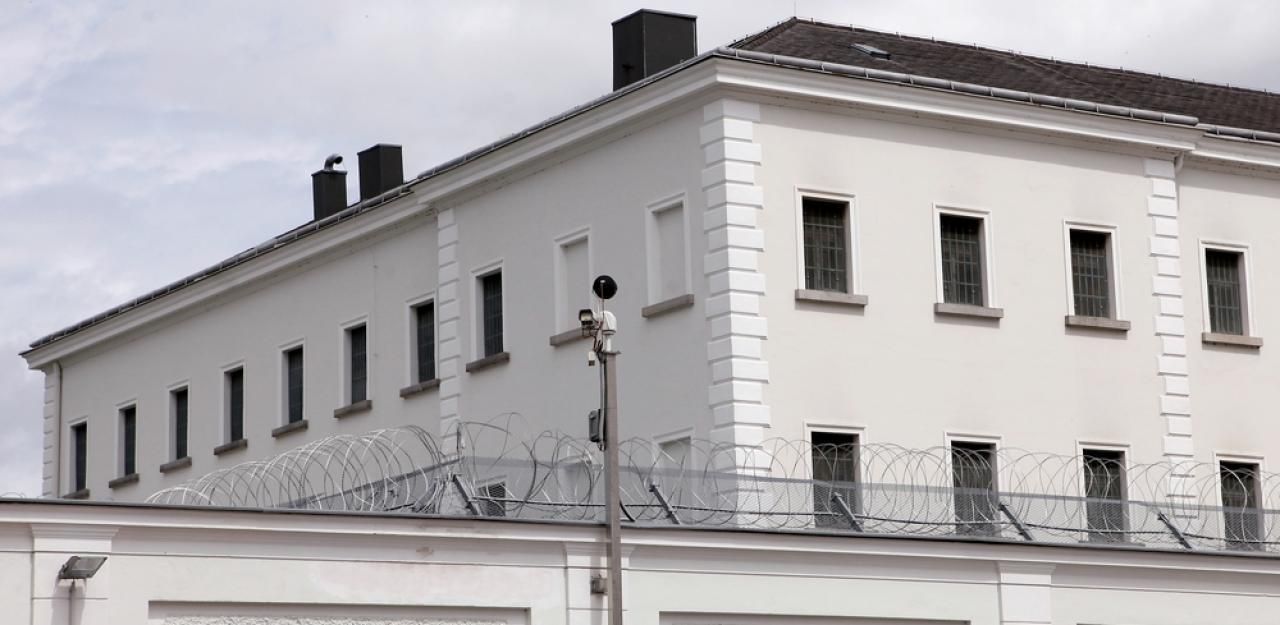 Die Frau wurde festgenommen und sitzt in der Justizanstalt Wels in U-Haft.