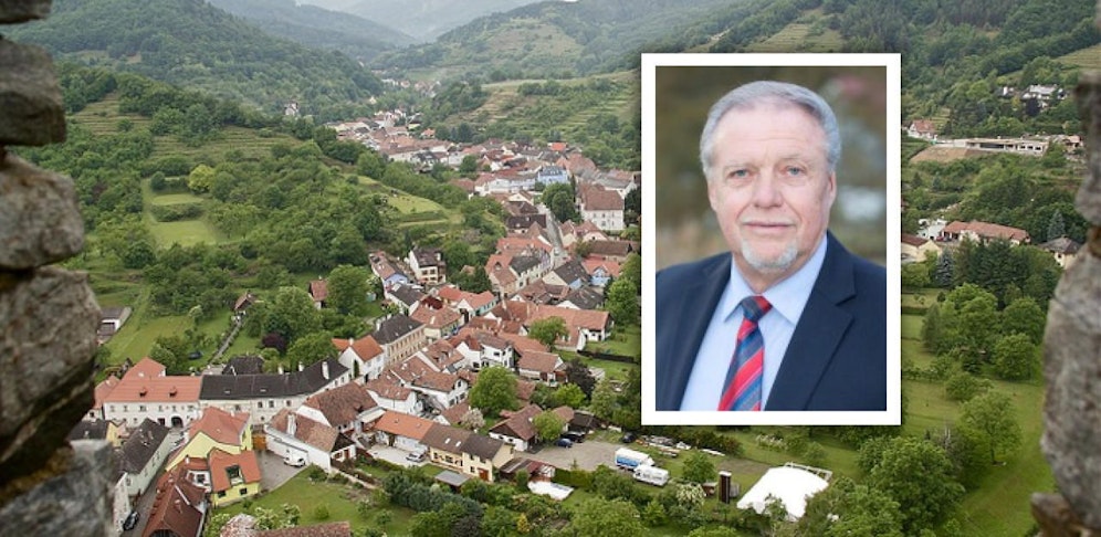 Pilz und ein Bild von der Marktgemeinde im Hintergrund