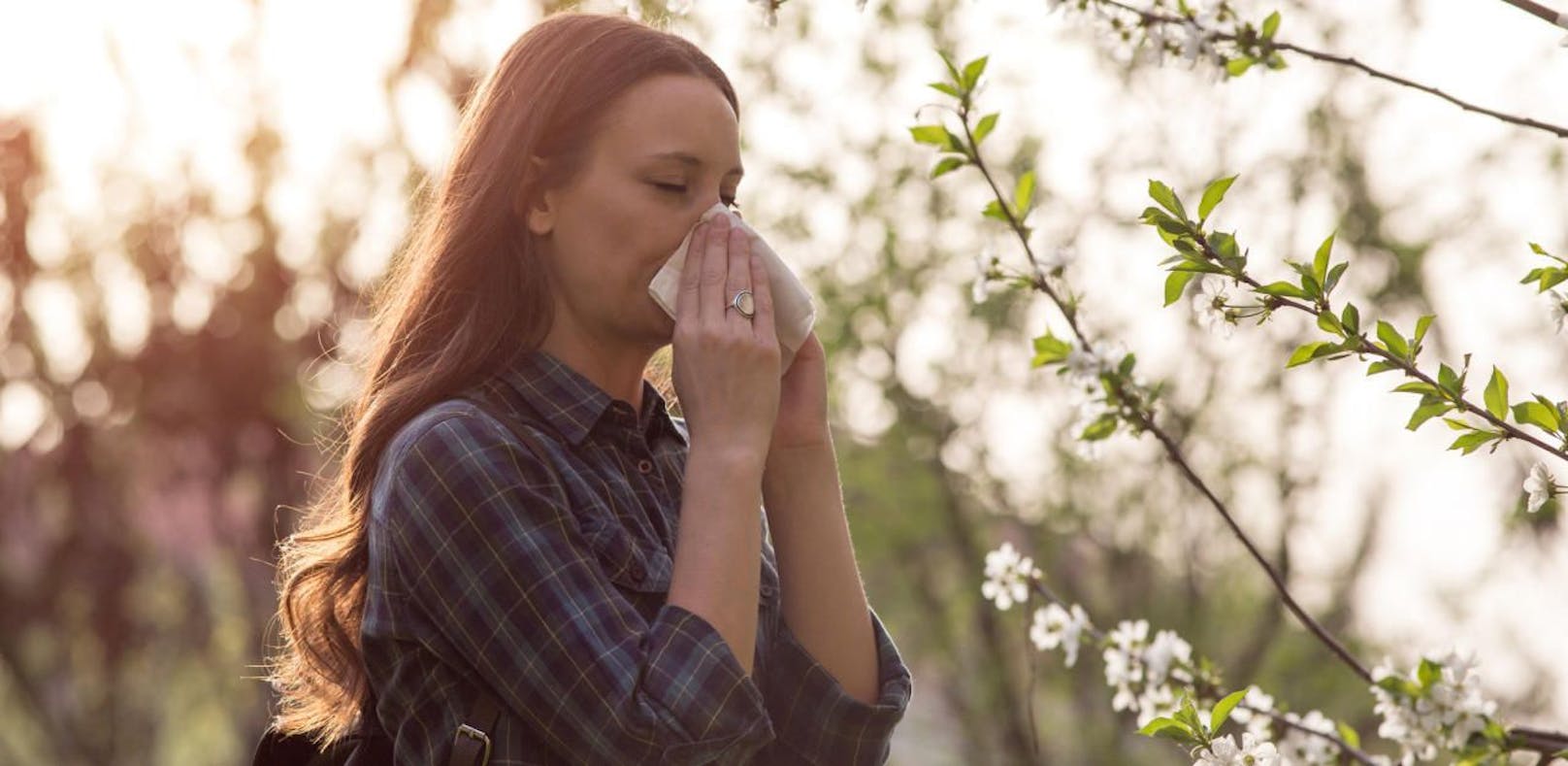 Pollen im Anflug – was jetzt noch hilft