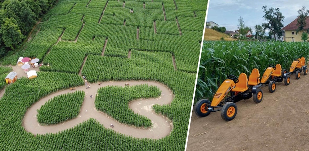 Das Mais-Labyrinth in Kronstorf lässt heuer mit einigen Neuerungen aufhorchen.