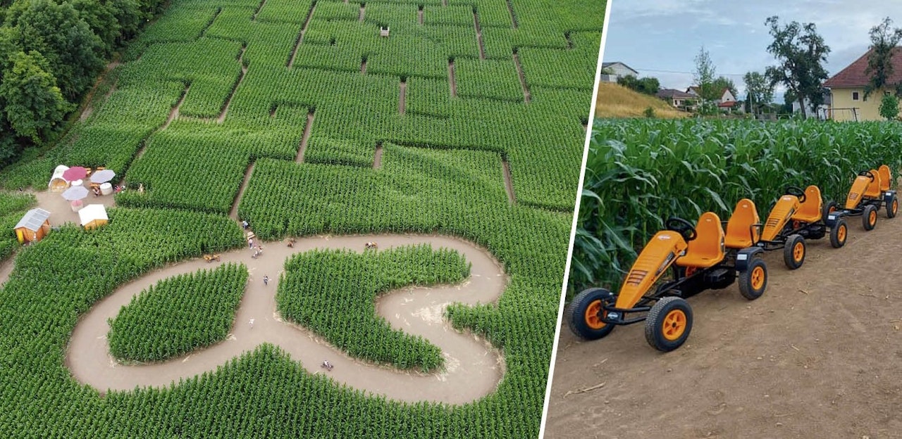 Heute.at - In diesem Maisfeld gibt es jetzt eine Go-Kart-Bahn