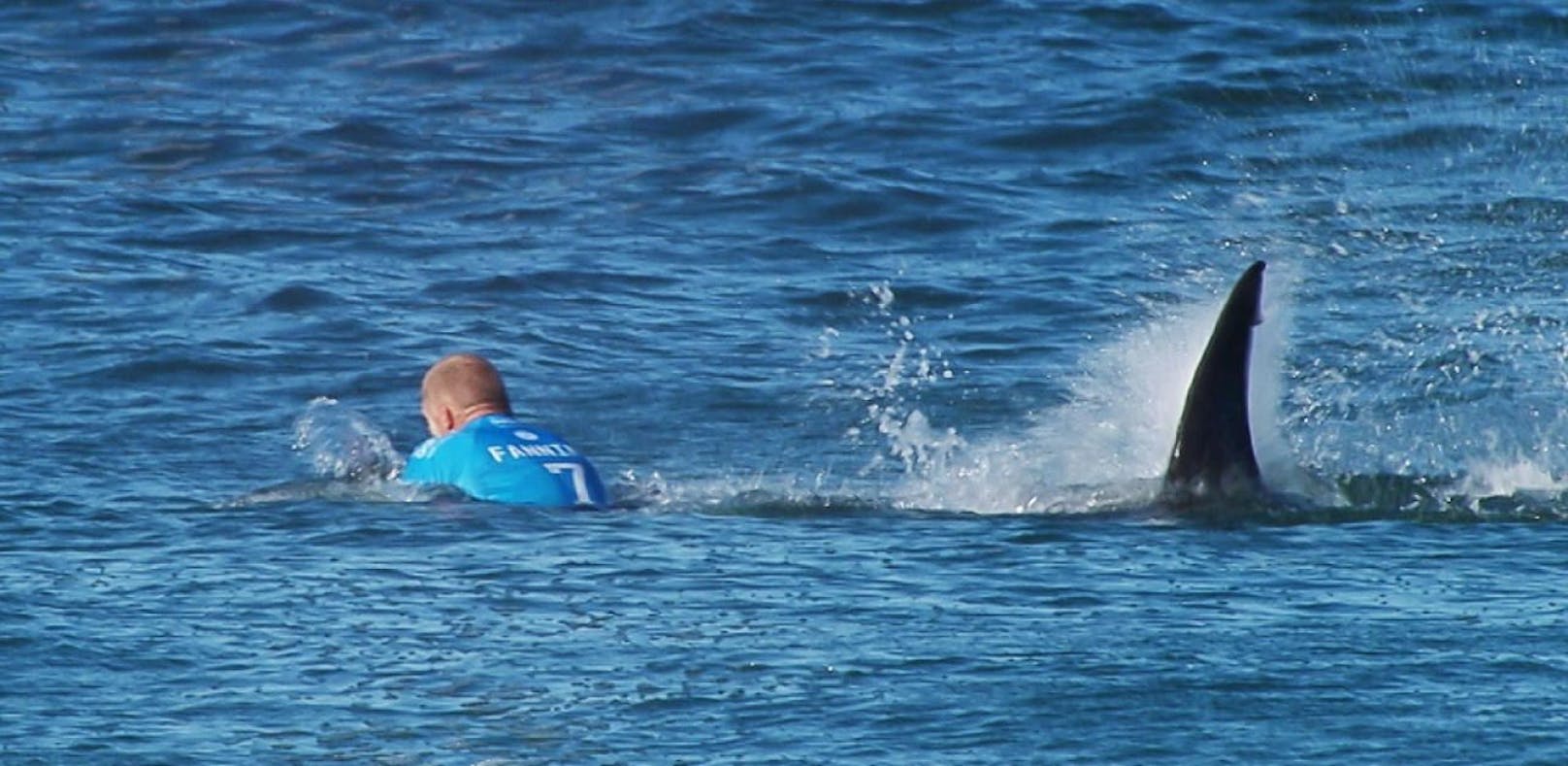Surfer wird von Hai attackiert.