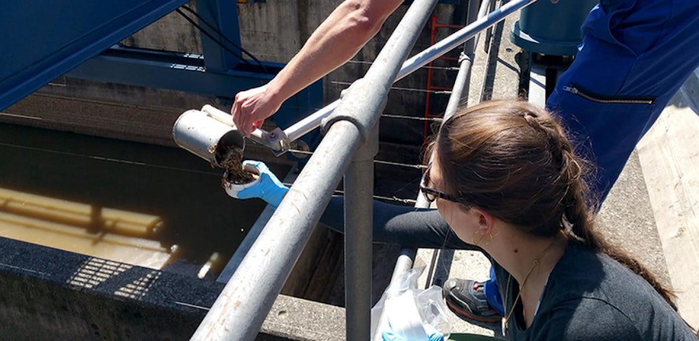 Probenahme auf der Kläranlage Werdhölzli in Zürich.