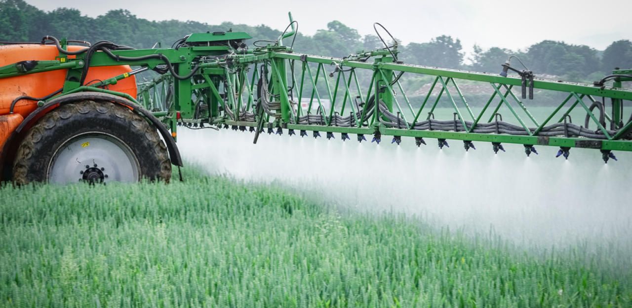 Schädlich: Das Pestizid Glyphosat gilt als krebserregend und trägt zum Artensterben bei.