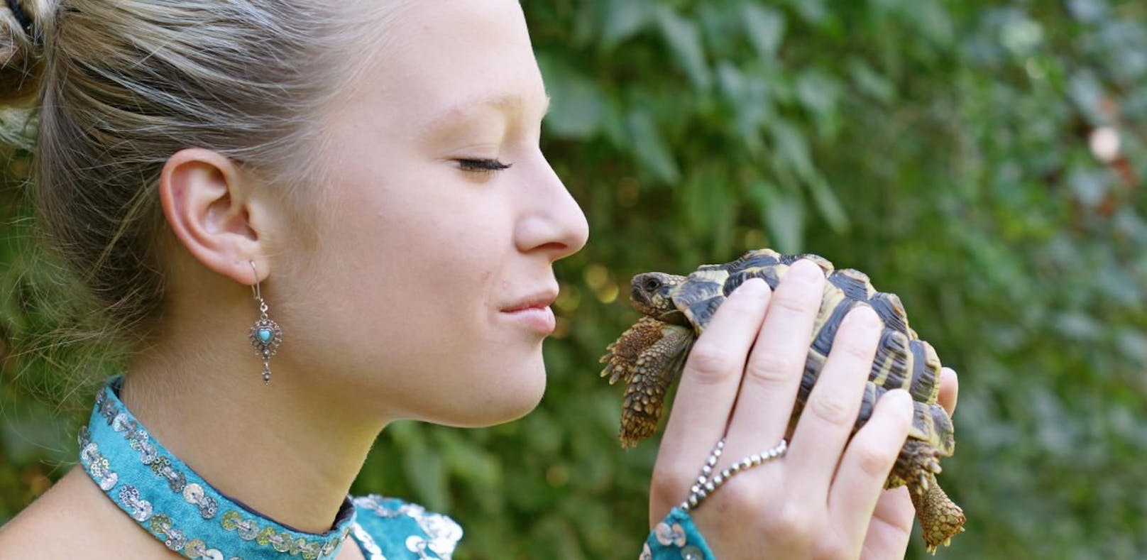 Küssen Sie niemals eine Schildkröte!