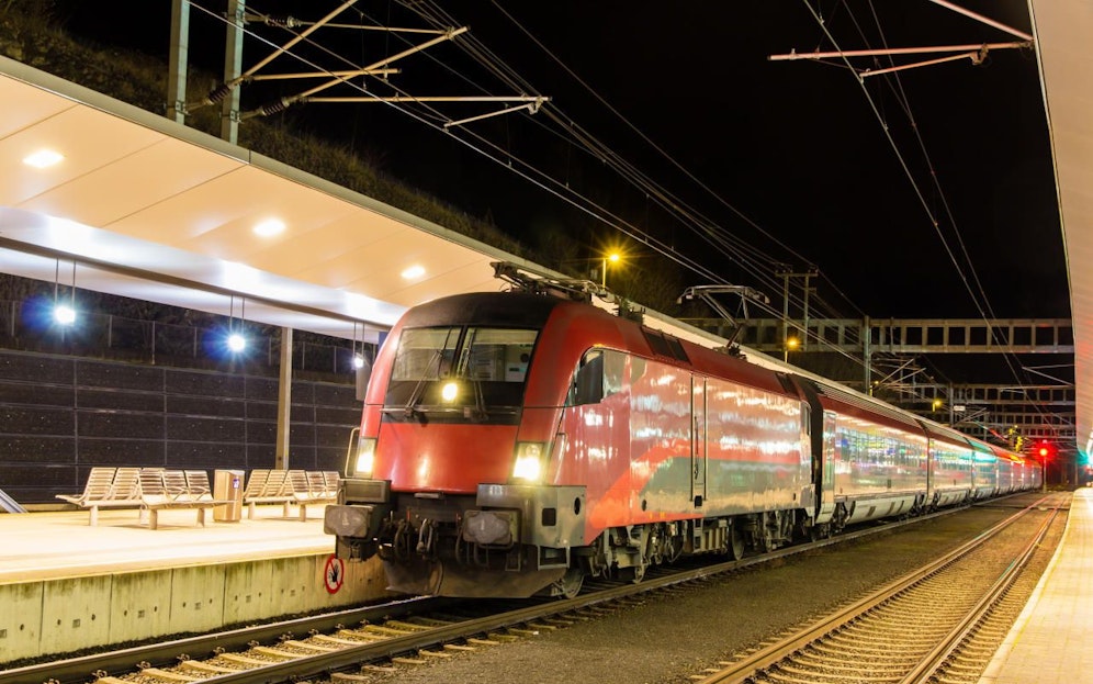Der Terrier-Mischling wurde von einem Zug mitgerissen.
