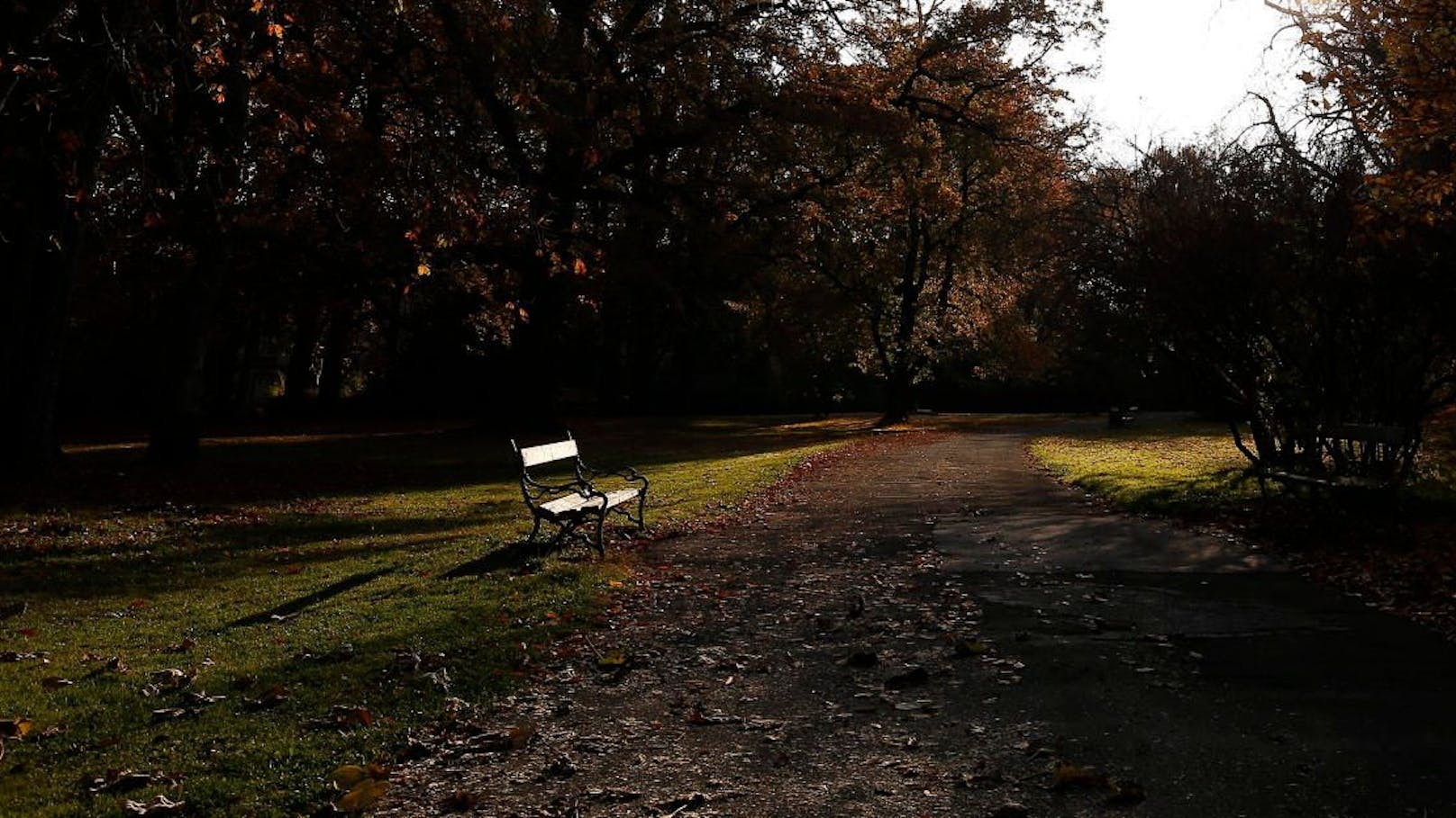 Brutale Attacke auf 16-Jährigen in Stadtpark