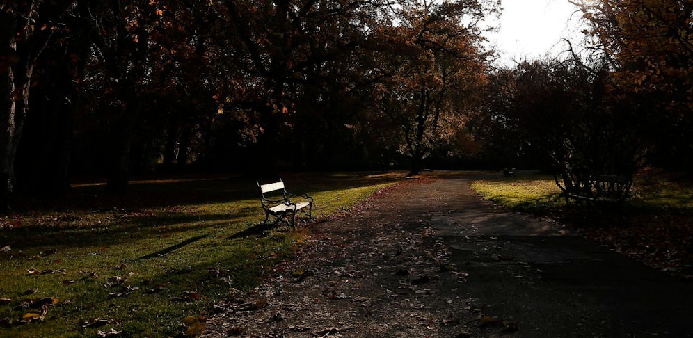 Die Attacke hat sich im Grazer Stadtpark zugetragen.