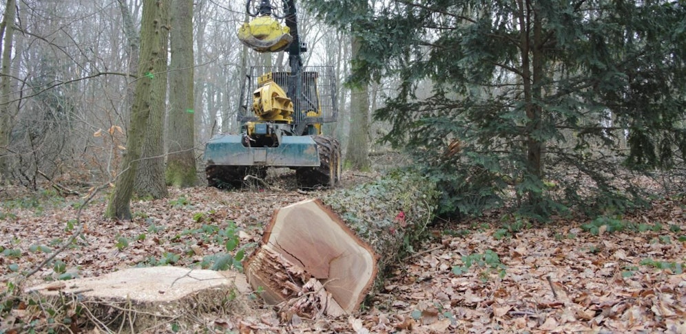 Für den 83-Jährigen kam jede Hilfe zu spät. (Archiv)