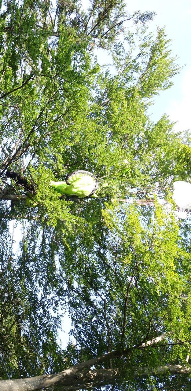 Heute.at - Abgestürzter Paragleiter setzte selbst Notruf ab