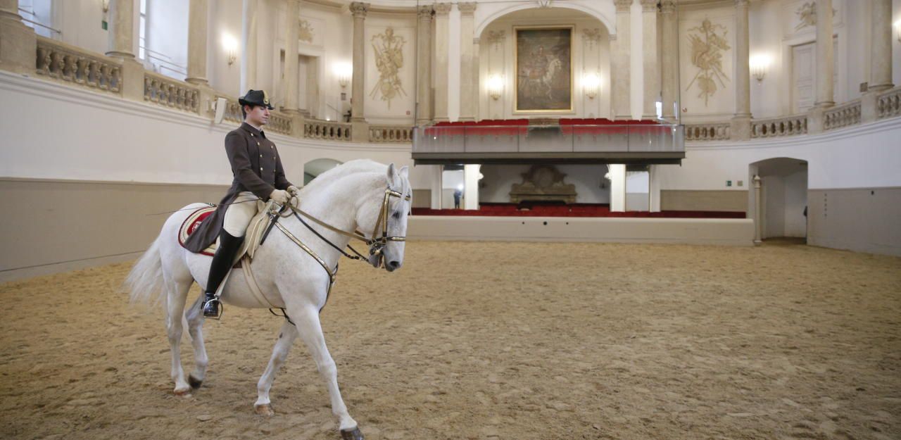 Neue Hofloge mit Ausblick auf LipizzanerShow Österreich heute.at