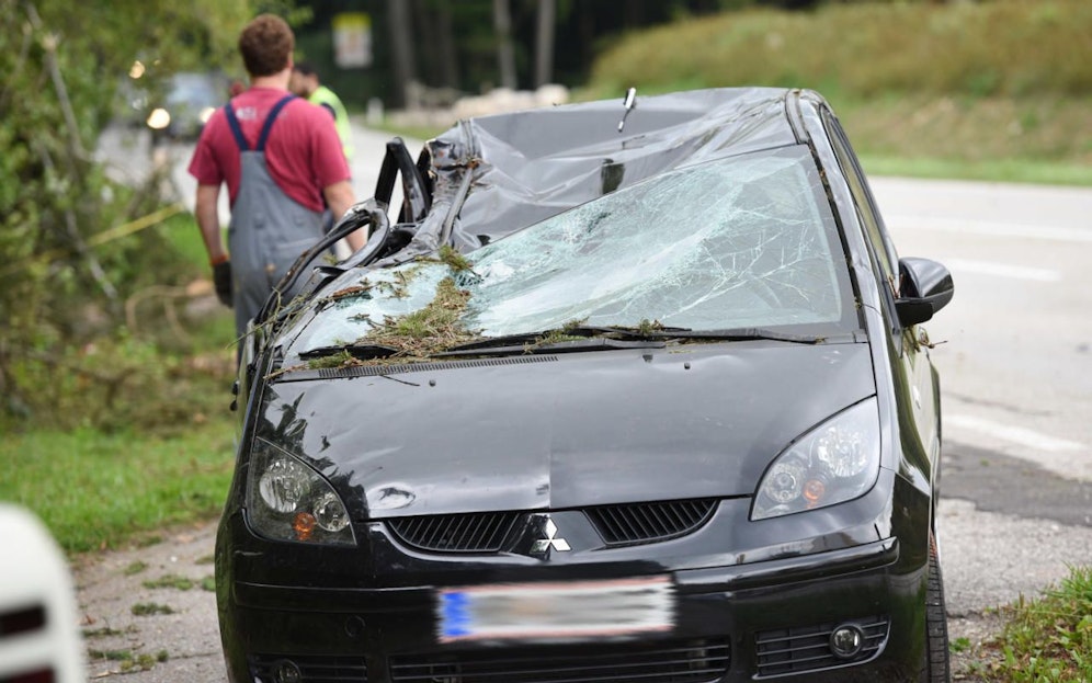 Ein 24 Meter langer Baum stürzte auf ein vorbeifahrendes Auto. 
