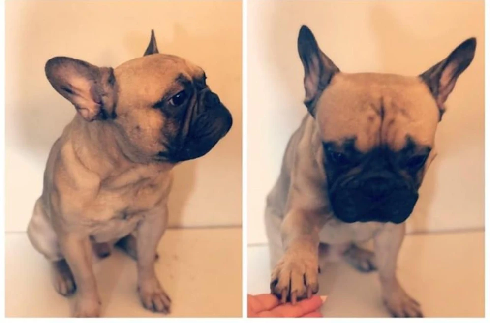 Süß. 