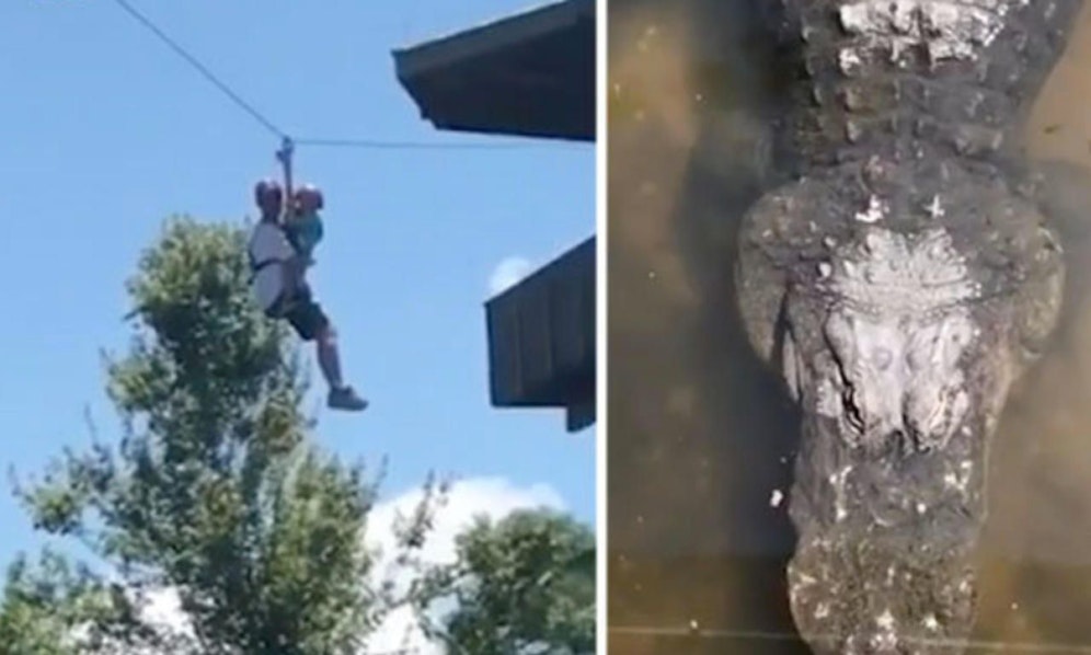 Heikel: Vater und Sohn stecken fest. Und unter ihnen warten die Alligatoren! 