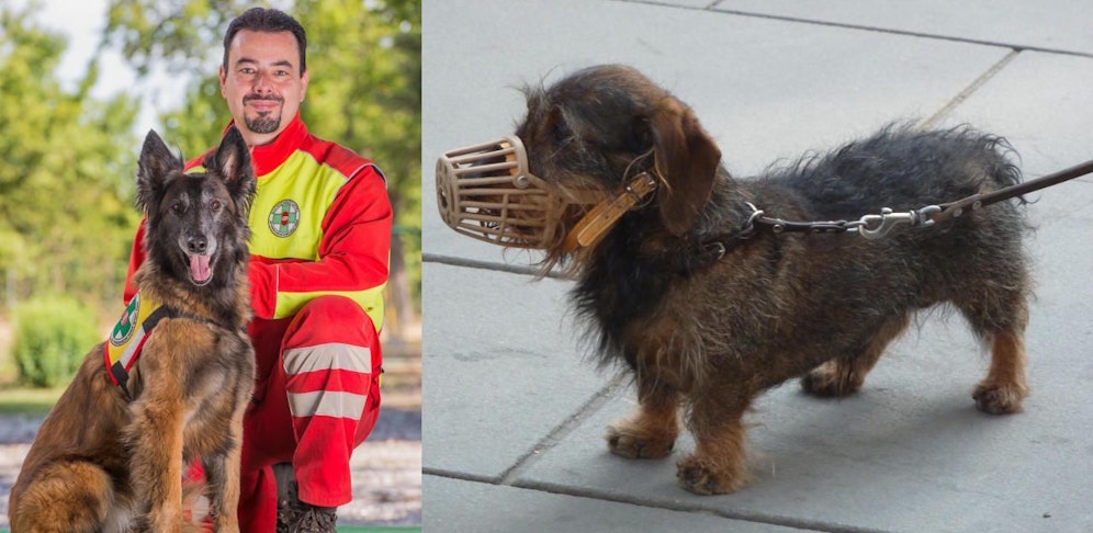 Wolfgang Pfitzner, Kommandant der ÖHU-Suchhundestaffel, mit seiner Hündin "Hope".
