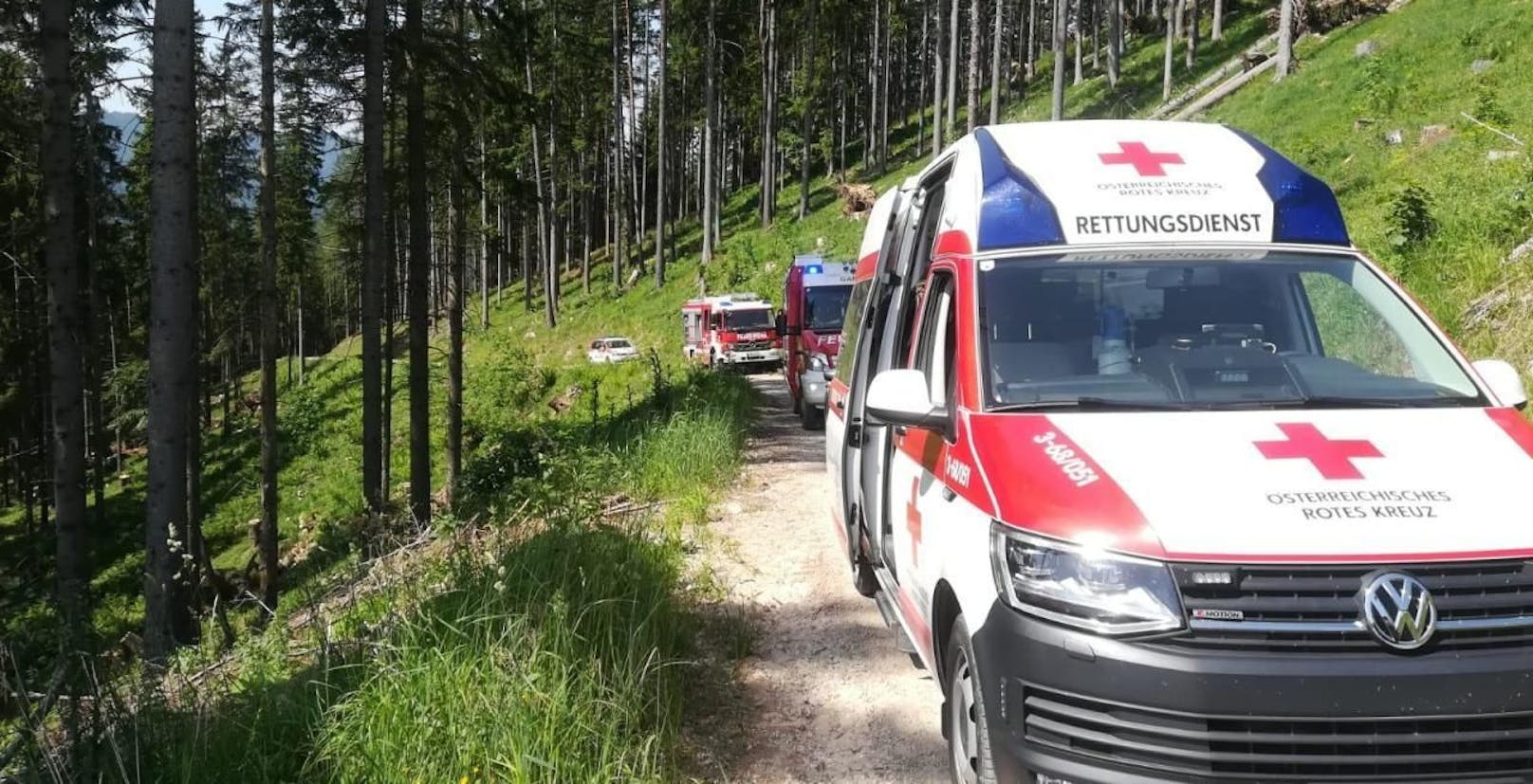 Feuerwehr und Rotes Kreuz im Einsatz nach einem Forstunfall. Symbolbild