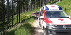 Mann in Oberösterreich von Baumstamm erschlagen