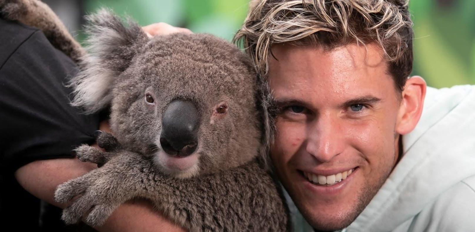 Dominic Thiem knuddelt einen Koala. Der bringt ihm in Australien offensichtlich Glück.