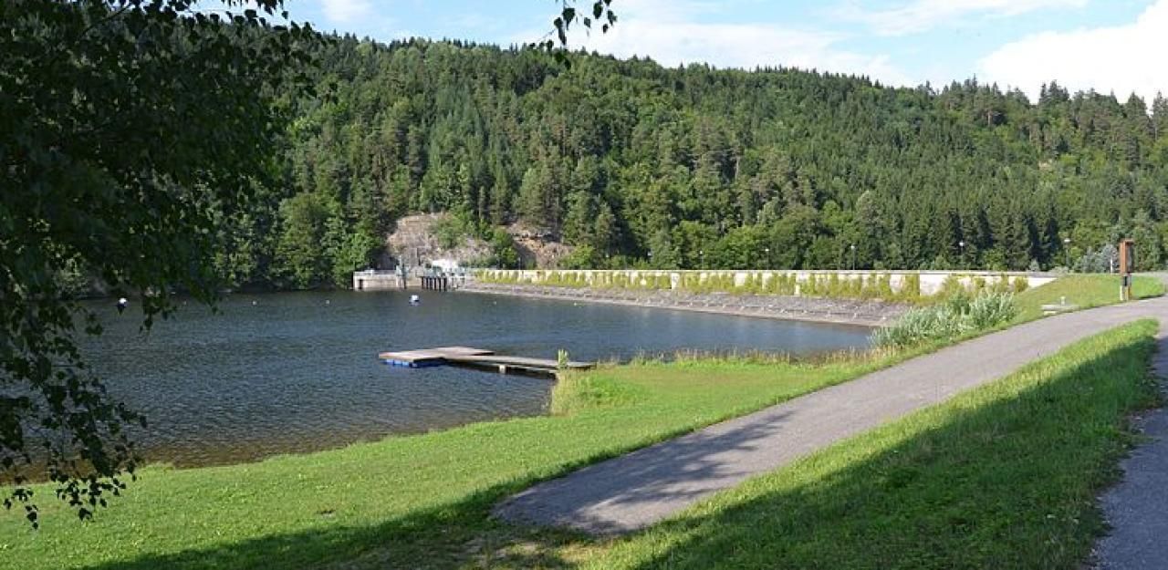 Heute.at - Stausee verliert Wasser, Fische werden umgesiedelt