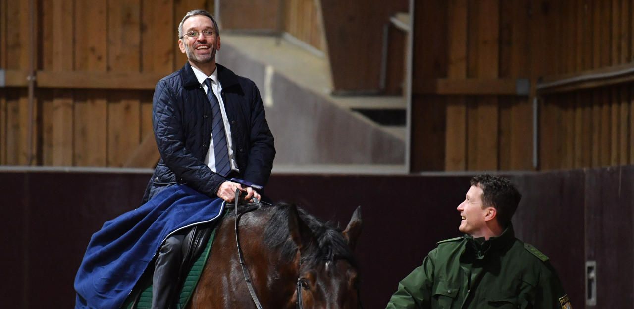Heute.at - Kickls Polizeipferde jetzt auf dem Prüfstand