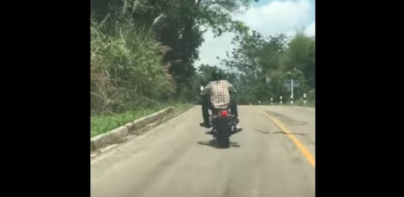 Wilde Schlange attackiert Motorradfahrer