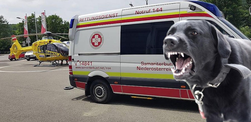 Der Hund der Dame wollte sein bewusstloses Frauchen vor den "Eindringlingen" des Samariterbundes beschützen.