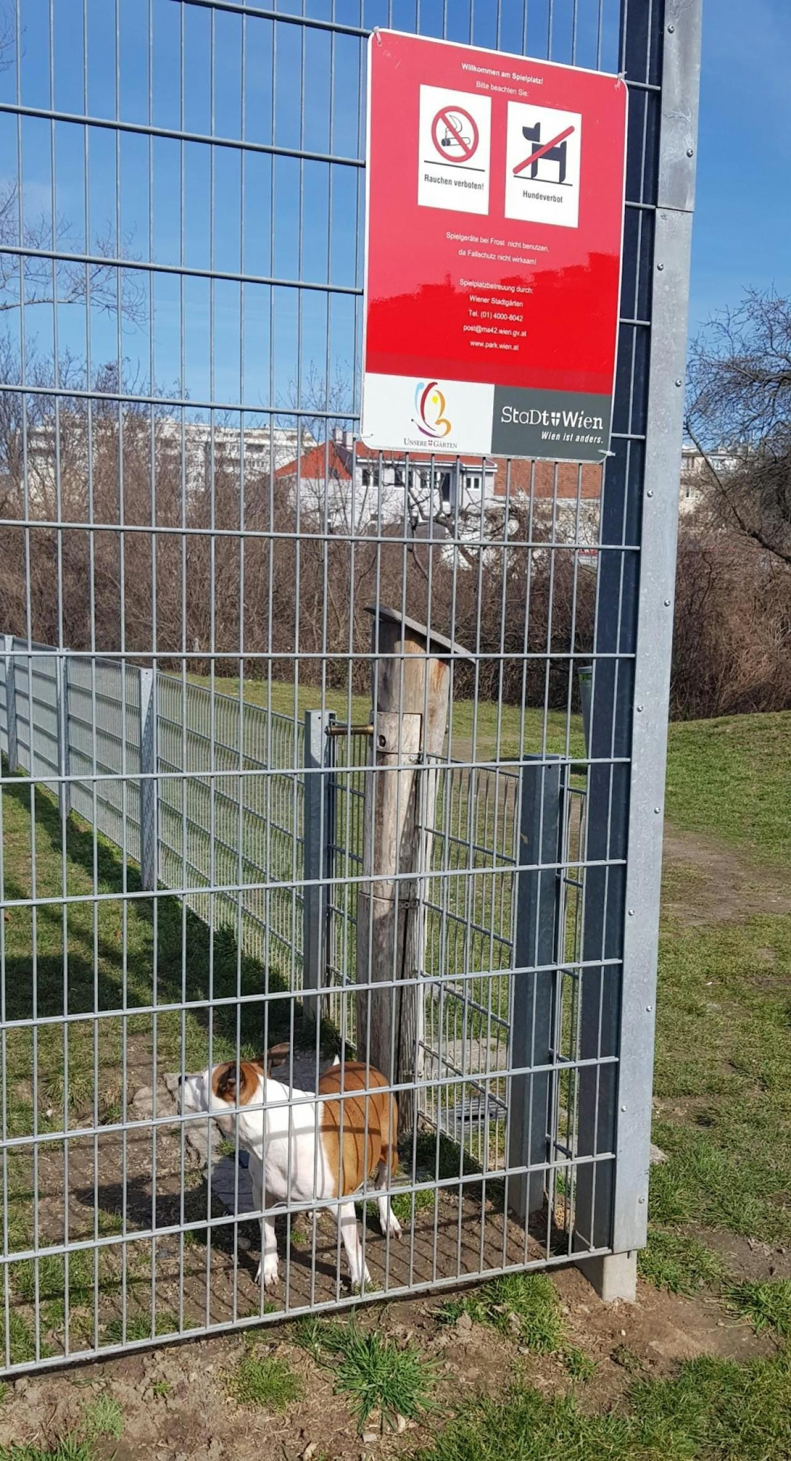 Die Hundeverbotstafel vor einer Hundezone in Floridsdorf verwirrte viele Hundehalter. (c) Dietmar Schwingenschrot
