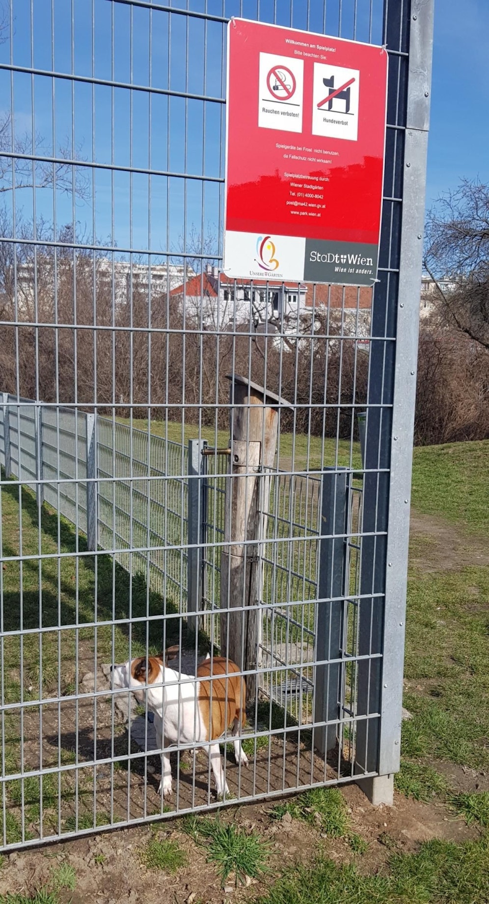Die Hundeverbotstafel vor einer Hundezone in Floridsdorf verwirrte viele Hundehalter. (c) Dietmar Schwingenschrot