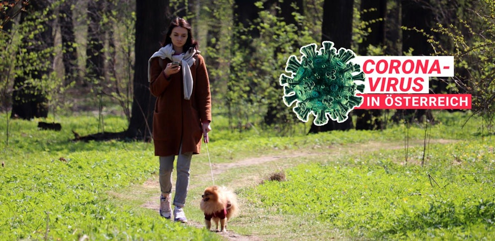 Symbolfoto einer Spaziergängerin im Wald