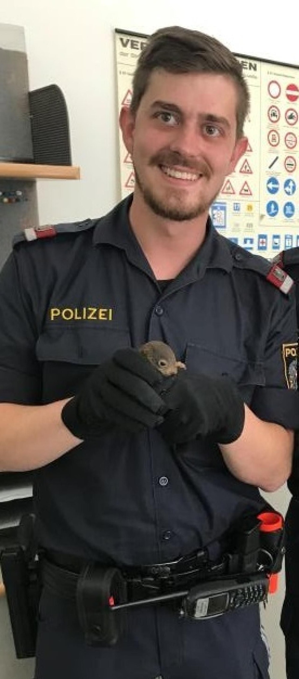 Das Eichhörnchen wurde im Gesicht verletzt.