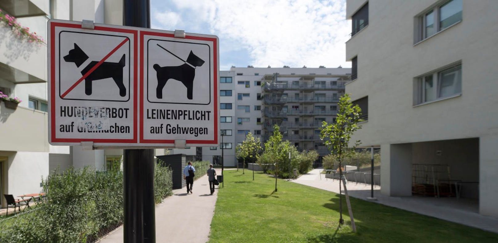 Wer einen Kampfhund hat, darf nicht betrunken sein.