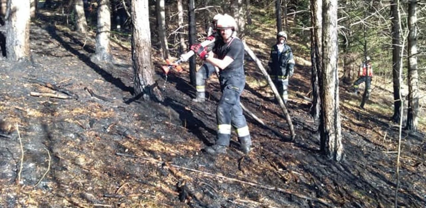 Waldbrand: Florianis stehen im Bezirk Lilienfeld im Einsatz.