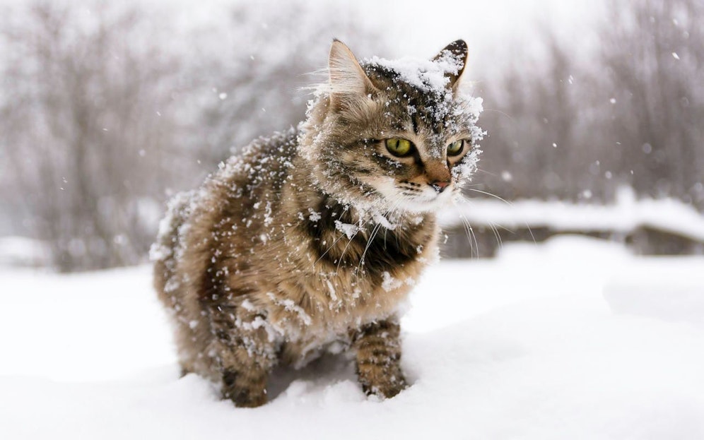Jetzt wird es wieder ungemütlich: Der Winter kehrt zurück. Symbolfoto