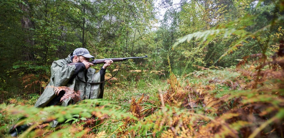 Der Jäger wollte eigentlich ein Wildschwein schießen (Symbolbild).