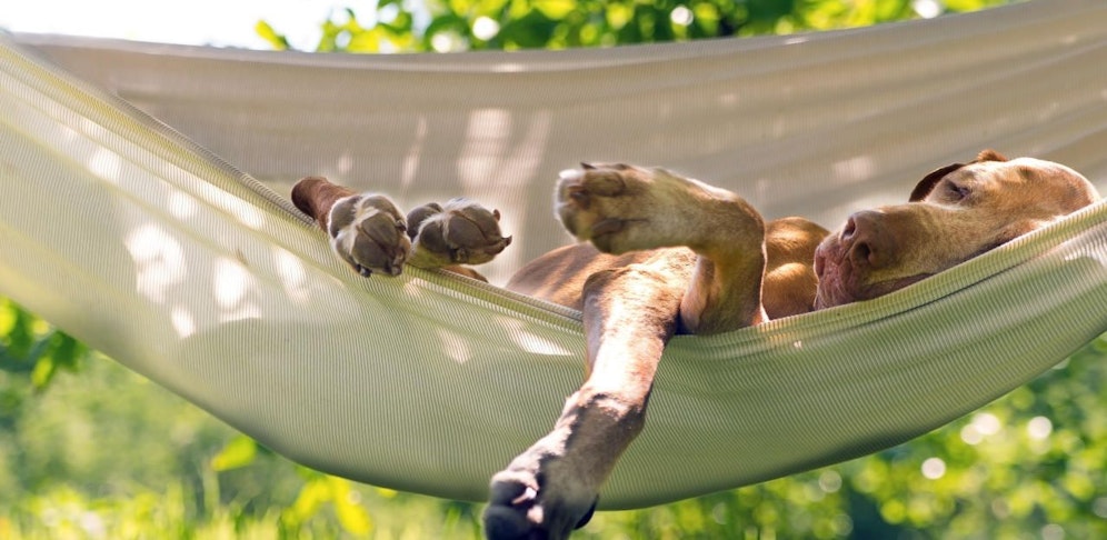 Endlich: Die Hitzewelle neigt sich dem Ende zu.