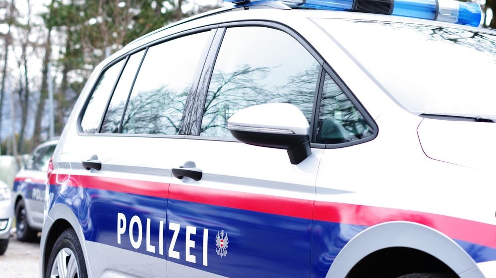 Entlaufener Jungstier von Polizei erschossen - Tirol | heute.at