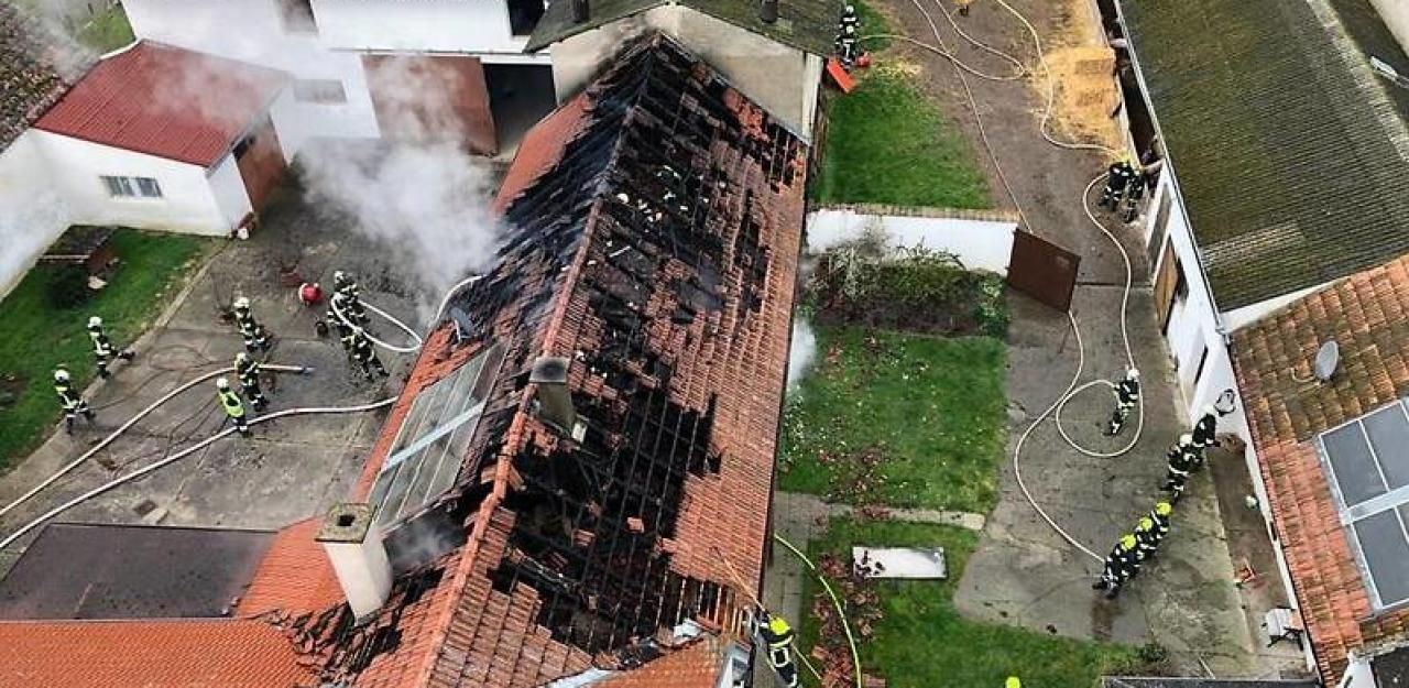 Heute.at - Rund 300 Schweine bei Großbrand gerettet