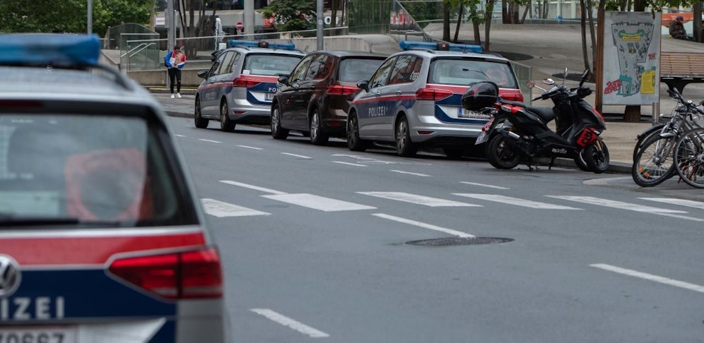 Für die Polizisten endete der Einsatz mit leichten Verletzungen.