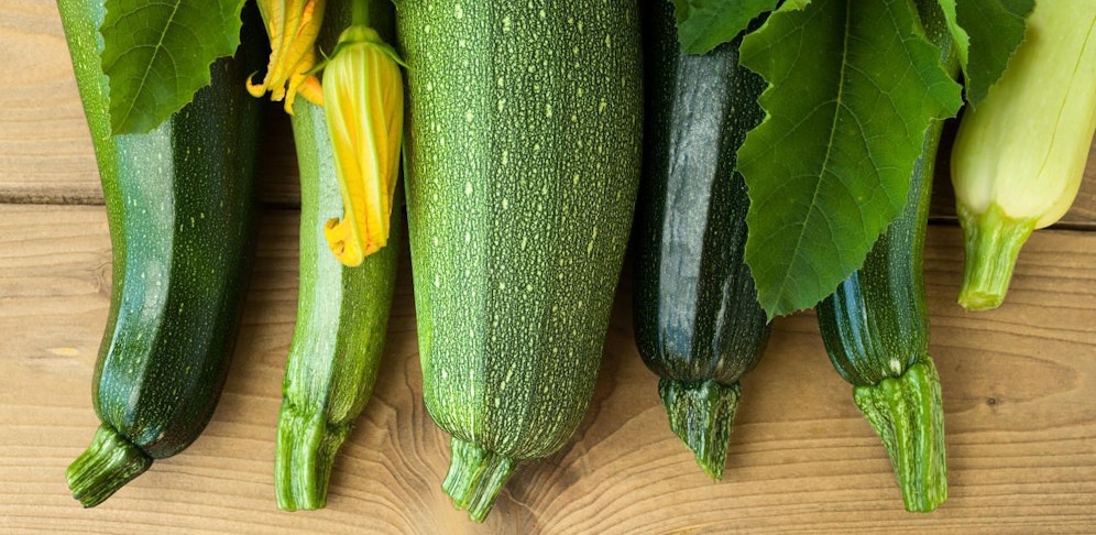 Zucchini