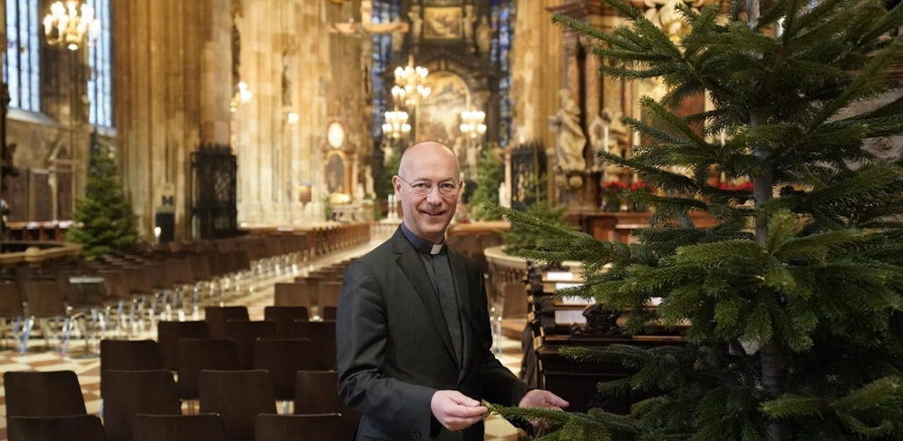 Dompfarrer Toni Faber hat für die Feierlichkeiten 25 Tannen im Stephansdom aufstellen lassen.
