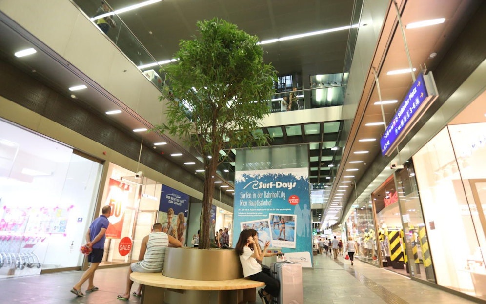 Die Bäume wurden im Untergeschoss aufgestellt und reichen bis in den Erdgeschoss.