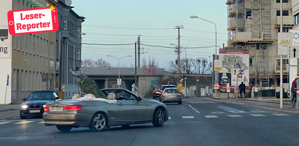 "Heute"-Leser Manuel entdeckte den Cabrio-Fahrer in Stadlau.