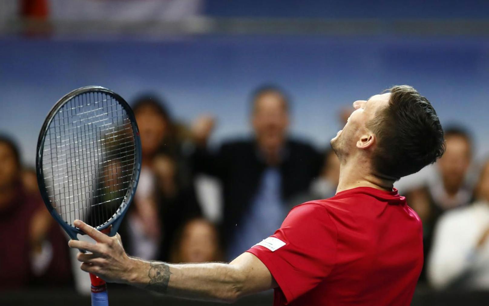 Dennis Novak feiert den Sieg im Davis Cup.