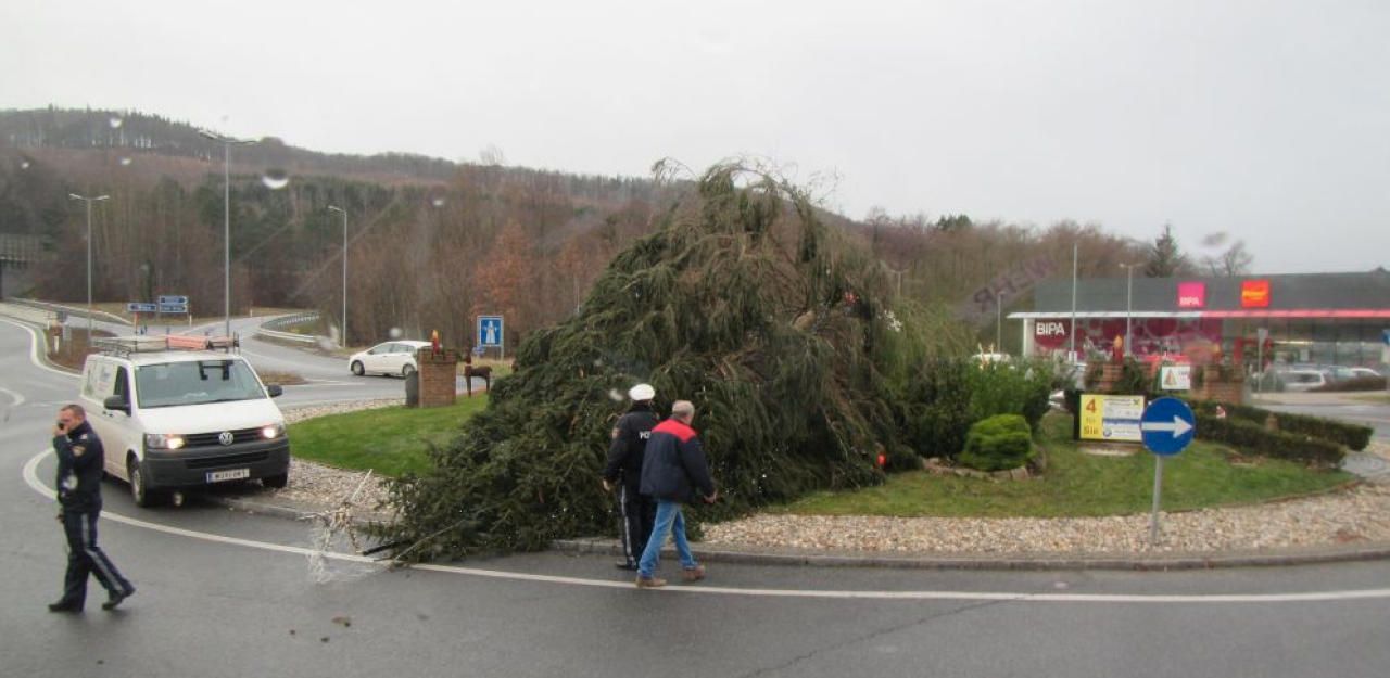 Heute.at - Riesiger Christbaum brach ab und fiel auf Straße