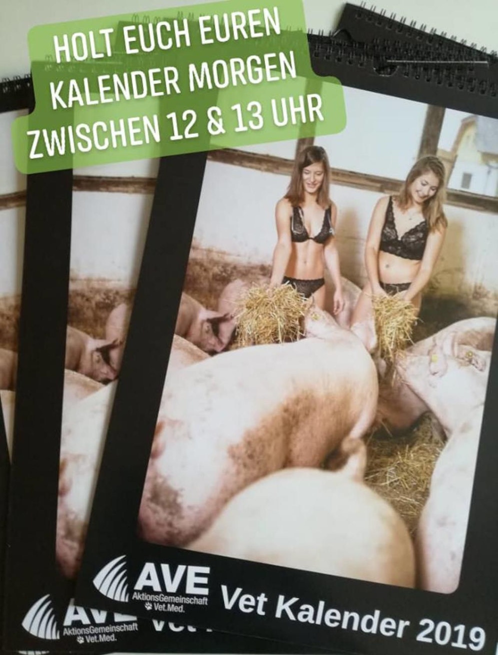 Das Titelbild des VetMed-Kalenders sorgte für Aufregung. (FB/AVE)