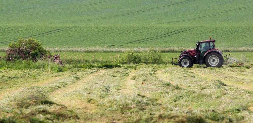 Während der Fahrt stürzte der Bub auf die Fahrbahn und prallte mit dem Kopf auf den Asphalt (Symbolbild).