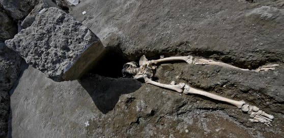So gruben die Forscher das Skelett aus, der Steinbrocken stellte sich allerdings nicht als Todesursache heraus.