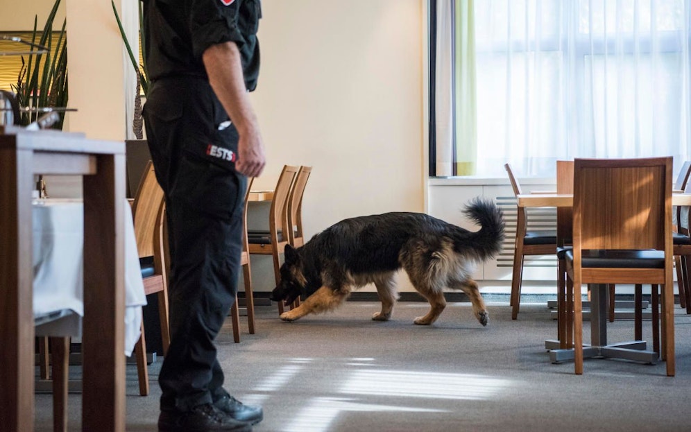 Spürhunde durchsuchten das Gemeindeamt Arnoldstein (Kärnten), eine Bombe wurde nicht gefunden. (Symbolfoto)