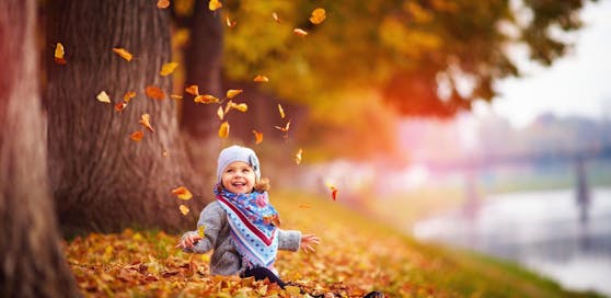 Der Herbst kommt. Am Wochenende wird es kühl und regnerisch.