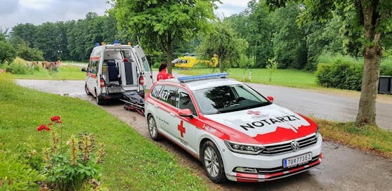 Großer Rettungseinsatz im Bezirk Scheibbs mit Notarzthubschrauber, NEF und Rettungswagen.